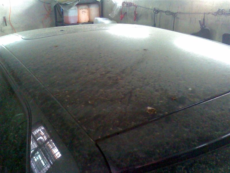b3.jpg